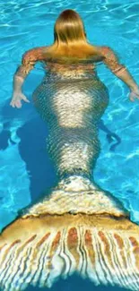 A mermaid swimming in clear blue water with a shimmering tail.