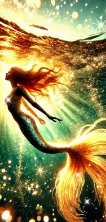 Mermaid swimming through radiant golden waters.