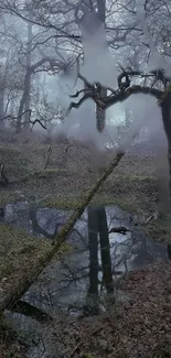 Misty forest scene with reflections in tranquil water.