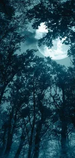 Mystical forest scene with moonlit sky.