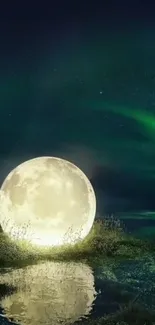 Moonlit night scene with aurora and reflection.