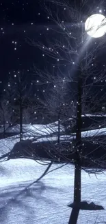 Moonlit winter night with snowy trees under a starry sky wallpaper.