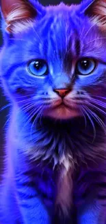 Vibrant neon blue cat with purple accents, intense gaze, cute and artistic design.