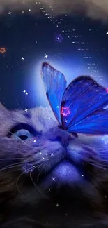 Cat under a night sky with a glowing blue butterfly.