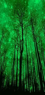 Green glowing night forest with stars.