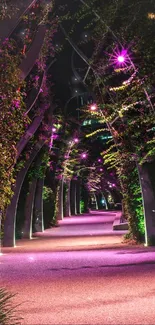 Beautifully lit night garden path with vibrant magenta hues.