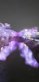 Purple cherry blossoms glowing at night over a tranquil river.