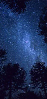 Starry night sky with silhouetted trees under a galaxy view.