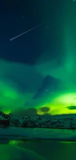 Vibrant green Northern Lights over snowy landscape at night.