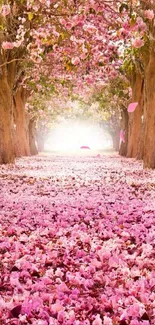 Enchanting pathway with pink blossoms and trees creating a dreamy ambiance.