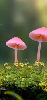 Two pink mushrooms in a lush green forest.