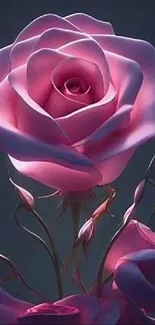 A stunning pink rose in bloom with a dark background for mobile wallpaper.