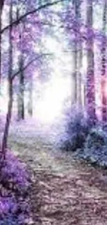 Purple forest path wallpaper with enchanting and serene nature display.