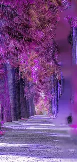 Enchanting purple forest path with vibrant tree hues.