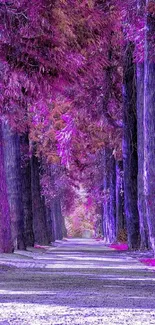 Enchanting purple forest path under vibrant trees.