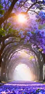 Pathway through a purple flower forest with sunlight filtering through trees.
