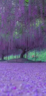 Mobile wallpaper of a purple wisteria forest scene.