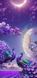 Mystical purple peacock scene with flowers and a crescent moon.