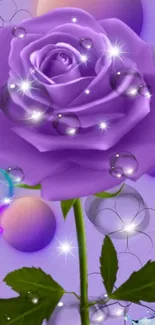 Purple rose with sparkling dew drops on a vibrant lavender background.