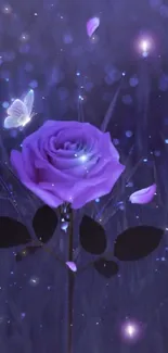 Enchanting purple rose with butterfly glowing in the night.