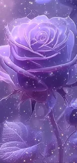 Enchanting purple rose with cosmic glow.