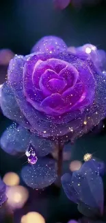 Enchanting purple rose with sparkling dew mobile wallpaper.