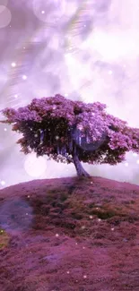 Lone purple tree on a hill under a mystical sky.