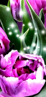 Enchanting purple tulip flowers with sparkling accents.