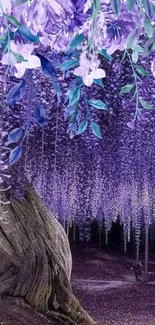 Enchanting wallpaper featuring elegant purple wisteria blooms cascading softly.