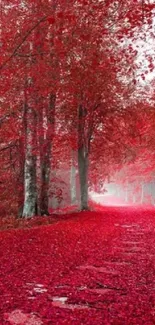 Beautiful red forest path with lush foliage and vibrant leaves.