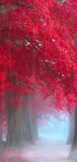 Enchanting red forest path with autumn foliage and mist.