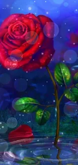 Vibrant red rose with lush green leaves and mystical blue background.