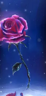 A glowing pink rose stands against a deep blue twilight background.