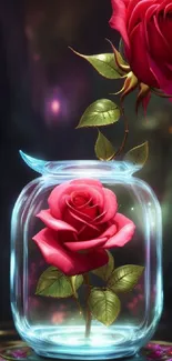 Beautiful red roses in a glass vase with a mystical background.