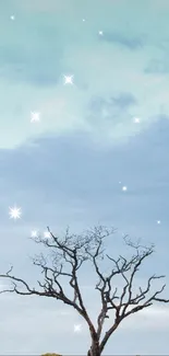 Starry sky with a silhouette tree under a serene blue backdrop.