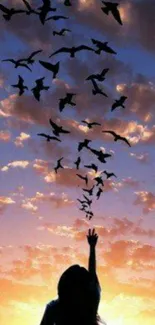 Silhouette of a person reaching towards birds flying in a colorful sunset sky.