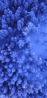 A captivating aerial view of a snowy pine forest in blue hues.