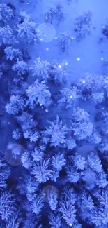 Snow-covered forest with twinkling lights, viewed from above, in cool blue hues.