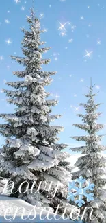 Snowy forest with frosted trees and sparkles on a bright winter day.