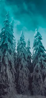 Snowy pine trees beneath a teal sky create a serene forest wallpaper.