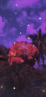 Purple sky with stars and a vibrant red rose in the foreground.