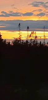 Silhouette of trees at sunset with vibrant orange sky.