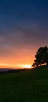 Mobile wallpaper of sunset with tree silhouette on a green hill.