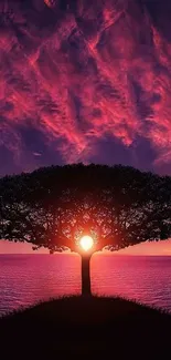 Silhouetted tree at sunset with vibrant purple and pink sky over the ocean.