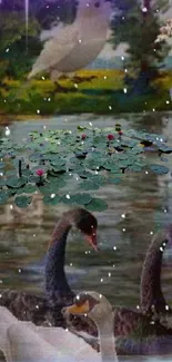 Swan lake wallpaper with lily pads and serene water reflection.