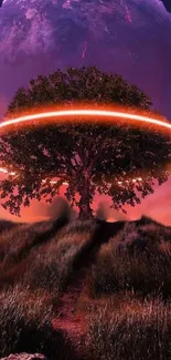 Tree illuminated by a neon halo against twilight.