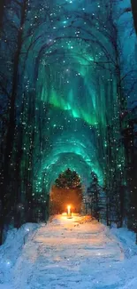 Enchanting winter forest with aurora lights glowing above a snowy path.