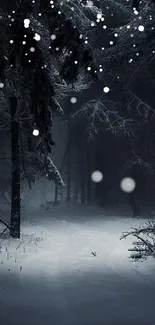 Serene winter forest path in snow-covered trees.