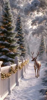 Majestic deer in a snowy, festive winter forest