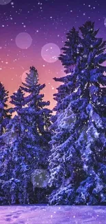 Snow-covered trees against a purple and orange twilight sky.